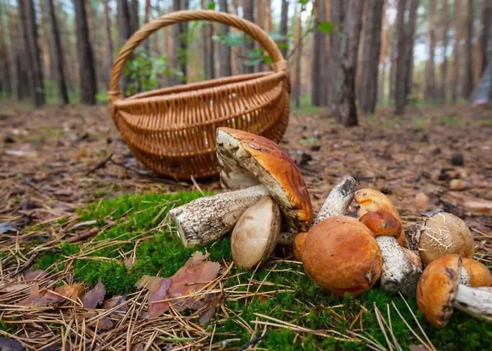 Mirador De San Matias Casa vacanze