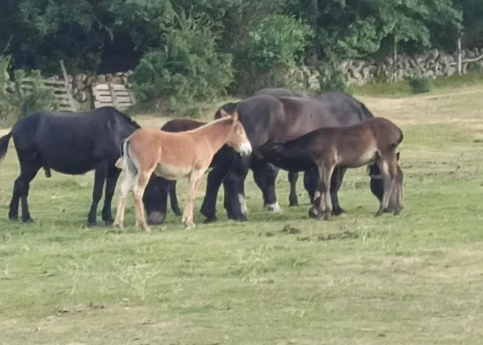 Mirador De San Matias