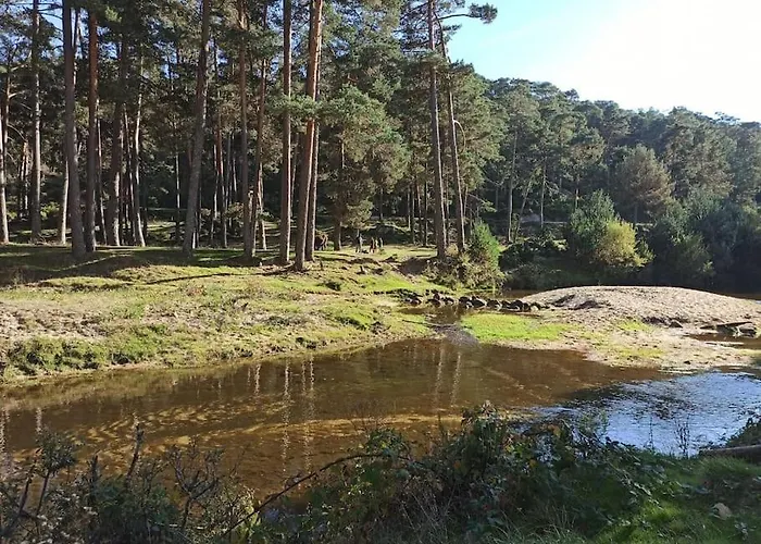 Mirador De San Matias Casa vacanze *