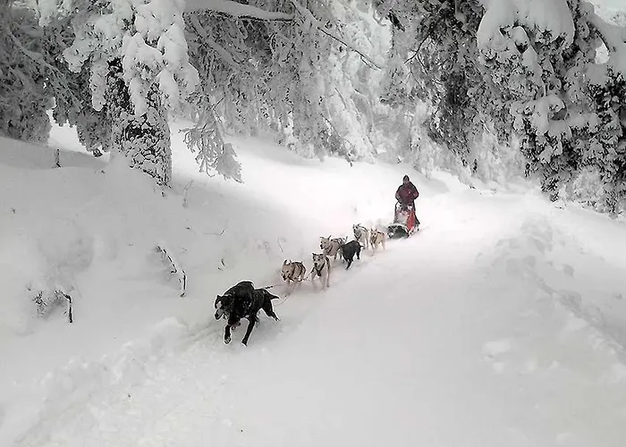 Mirador De San Matias Casa vacanze *