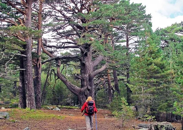 Casa vacanze Mirador De San Matias *